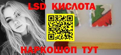 СК Новозыбков