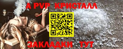 СК Новозыбков