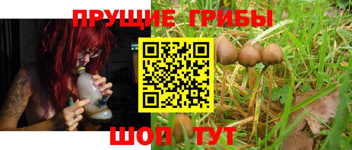 Ухта  Псилоцибиновые грибы мицелий  Вход с VPN  Галлюциногенные грибы Psilocybe 