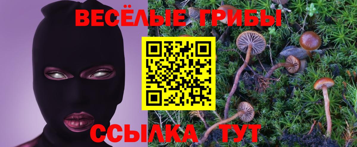 Псилоцибиновые грибы GOLDEN TEACHER Ухта